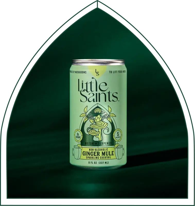 Little Saints Ginger Mule